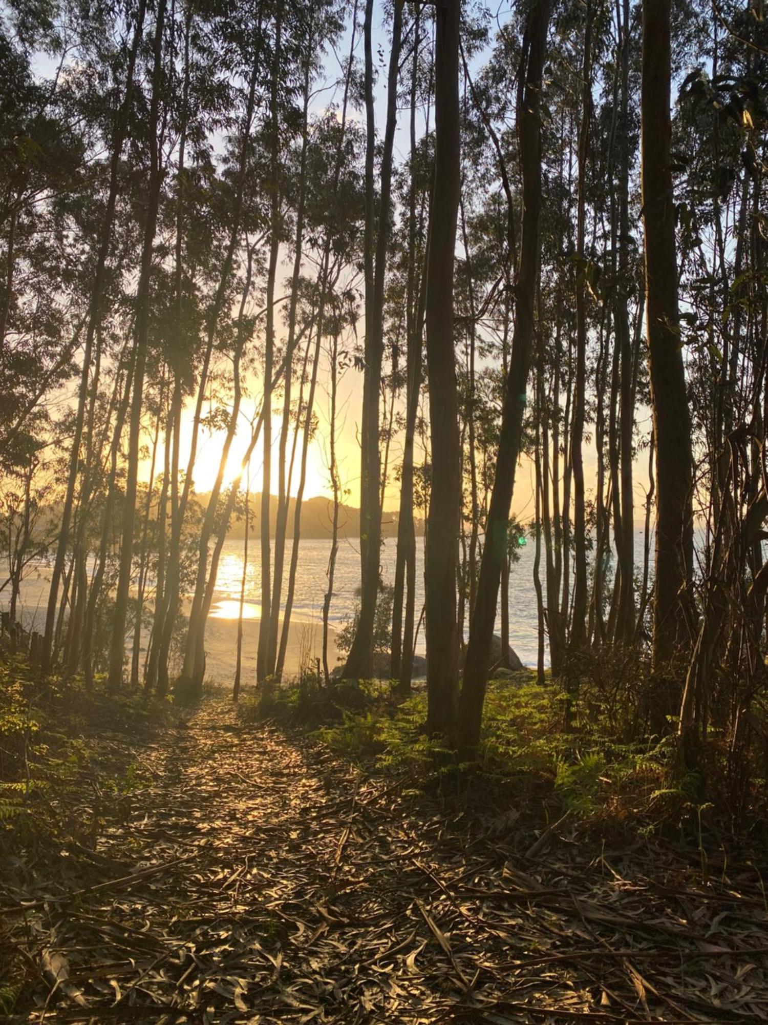 Rincon De Lagos, Bueu Pontevedra Exteriér fotografie